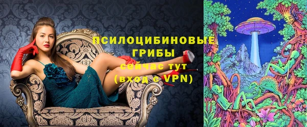 сатива Нефтекумск
