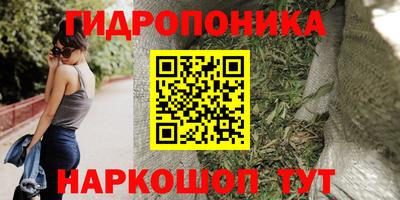 ГАЛЛЮЦИНОГЕННЫЕ ГРИБЫ Гусев